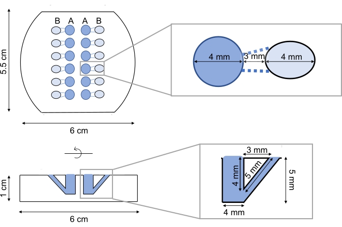 figure-results-1