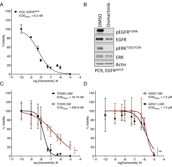 figure-results-2 Osimertinib IC50 graphs and blot: cell viability and protein analysis in EGFR mutation study.