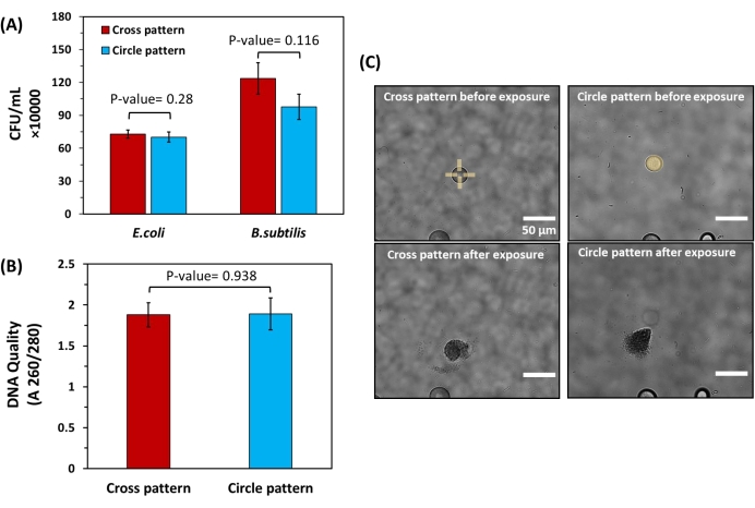 figure-results-4 Bar graphs and microscope images; E. coli and B. subtilis CFU/mL analysis, DNA quality, pattern exposure.
