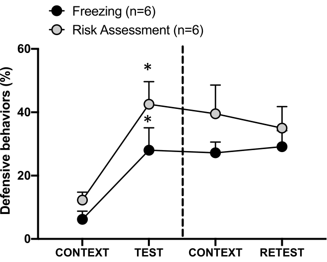 Defensive behaviors graph; freezing, risk assessment in context and test phases; behavioral analysis.