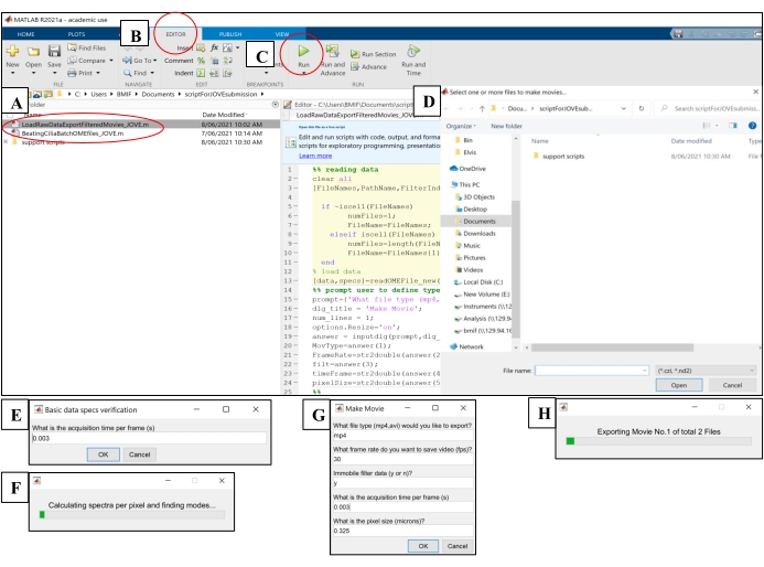 figure-protocol-4 MATLAB script execution process diagram; includes code editor setup and movie export steps.