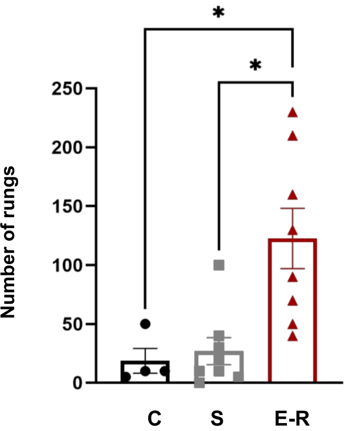 Video: Versatility of Protocols for Resistance Training and Assessment ...