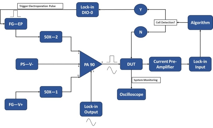 Electroporation circuit diagram with lock-in amplifier, oscilloscope, and cell detection algorithm.