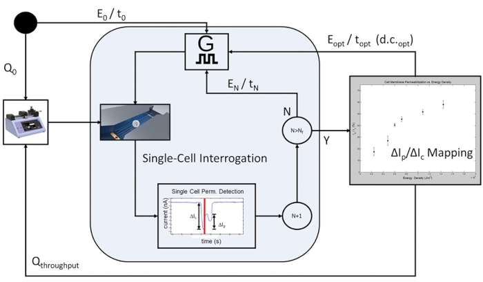 Single-cell interrogation diagram; process mapping via electrical detection, data analysis visualization.