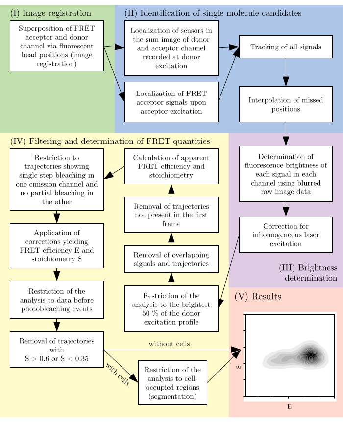 figure-protocol-2