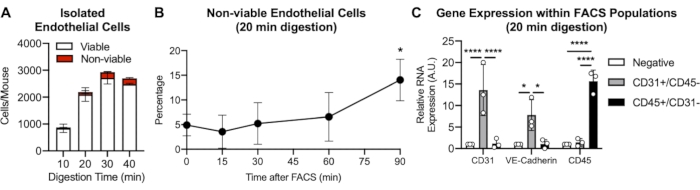 figure-results-2 Isolated endothelial cells analysis: bar graphs and line graph showing digestion time, viability, FACS results.