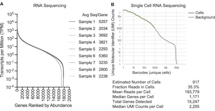 figure-results-3 RNA sequencing graphs showing gene abundance and single-cell UMI counts comparison.