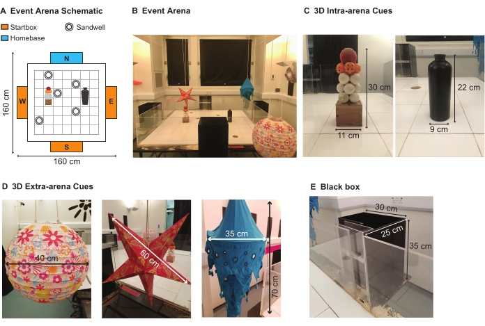 Event arena schematic; experimental setup with 3D cues; measurements for spatial navigation study.