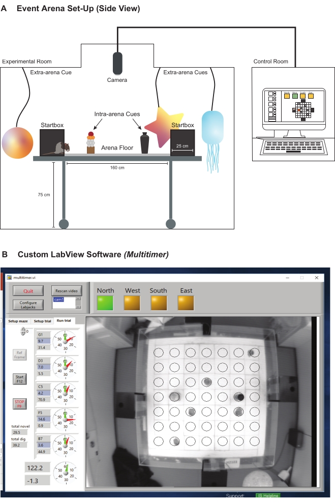 Event arena setup diagram with cues and LabView software for behavioral research control.