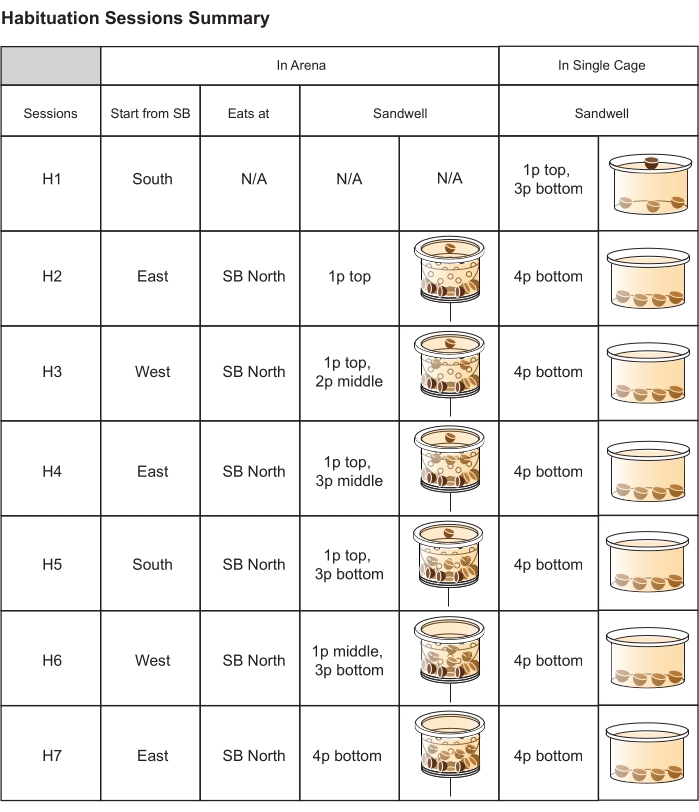 Habituation sessions summary chart, behavioral patterns, arena vs single cage, experimental data.