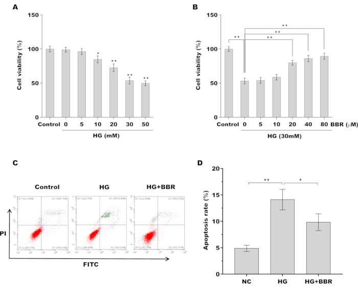 figure-results-3 Cell viability and apoptosis analysis charts; flow cytometry showing treatment effects on cells.