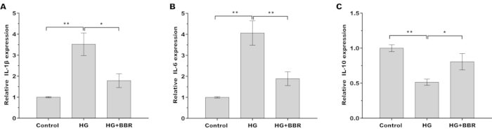 figure-results-4 Bar charts comparing IL-1β, IL-6, IL-10 expression in Control, HG, HG+BBR; gene expression analysis.