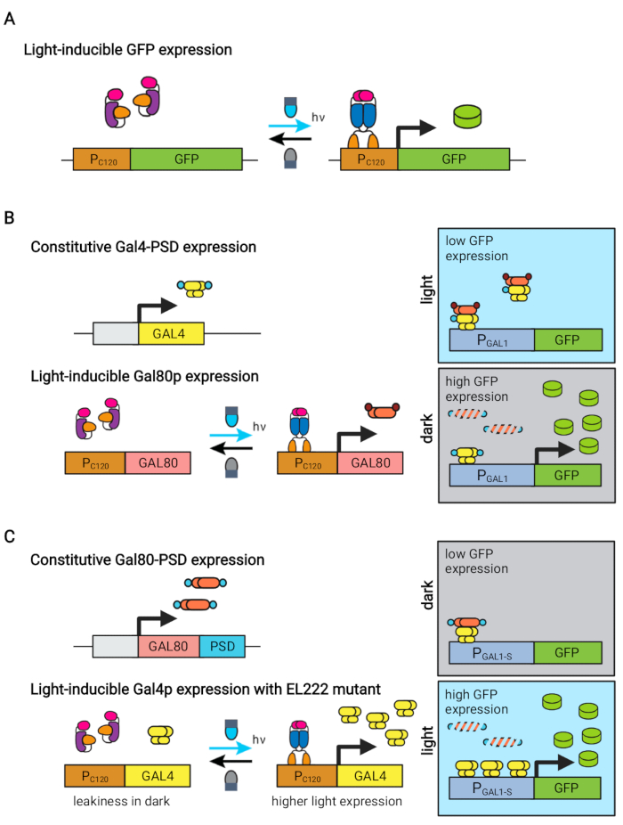 figure-introduction-1 figure-introduction-1