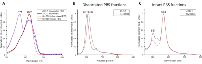 figure-results-2
