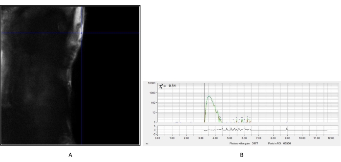 Microscopy image with corresponding photon count graph, illustrating optical excitation analysis.