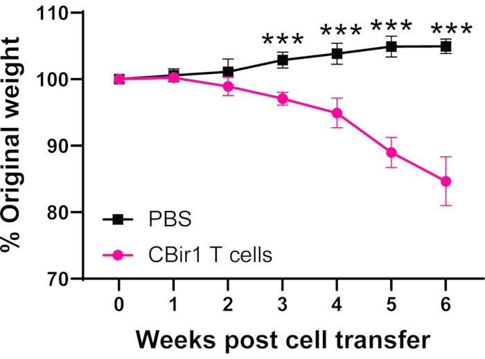 Weight change analysis, PBS vs. CBir1 T cells, line graph, post cell transfer weeks 0-6.