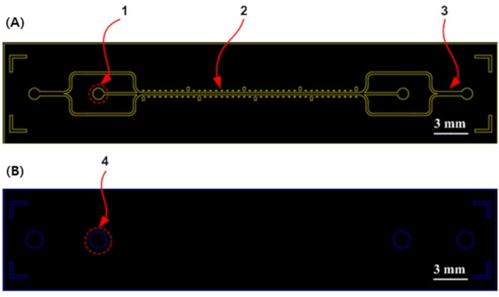 figure-results-2