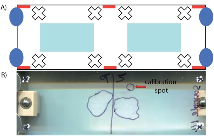 Diagram of chromatography setup with calibration spot; used for DNA separation analysis.