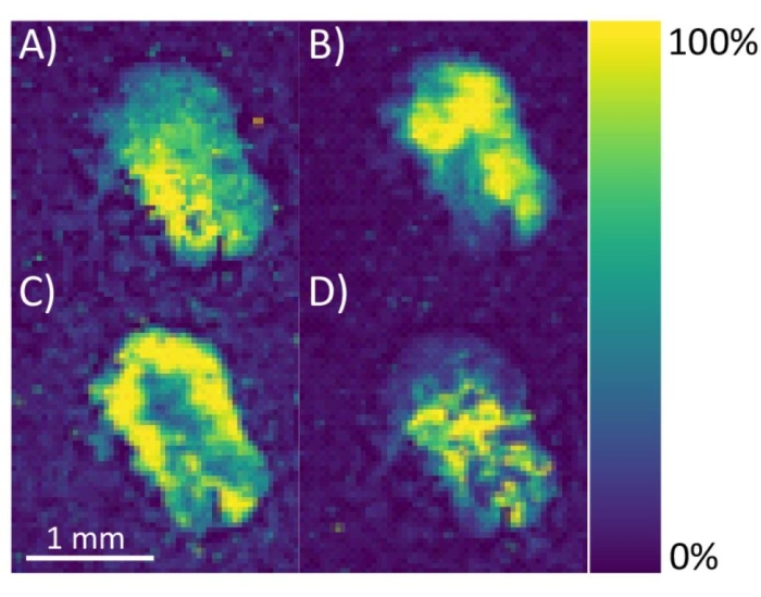 Spectroscopy fluorescence imaging, intensity mapping, false-color scale, substrate analysis, diagram.