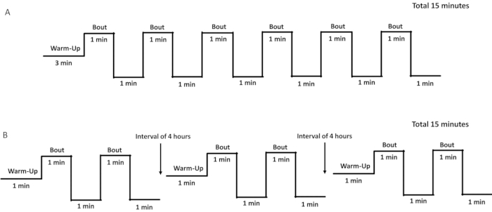 Interval training diagram; two exercise regimens, warm-up and 1-min bouts, total 15 min each.
