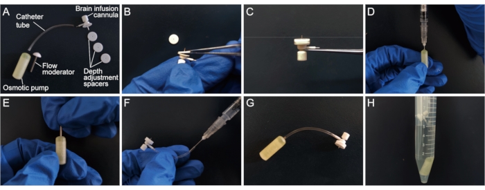 Osmotic pump setup diagram; catheter tube, moderator for controlled brain infusion; sequential steps.