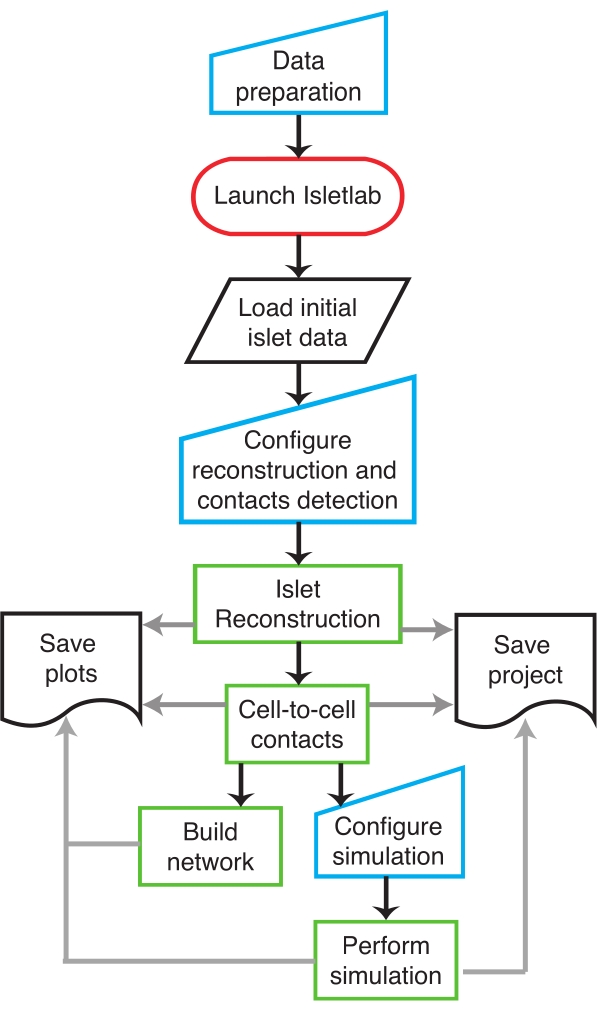 figure-protocol-1 Islet reconstruction workflow diagram for simulation, data preparation, and analysis process.