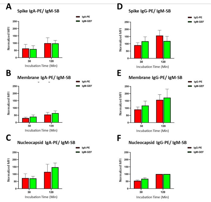 figure-results-2 Antibody binding analysis chart; IgA/IgG/IgM responses; spike/membrane/nucleocapsid proteins.