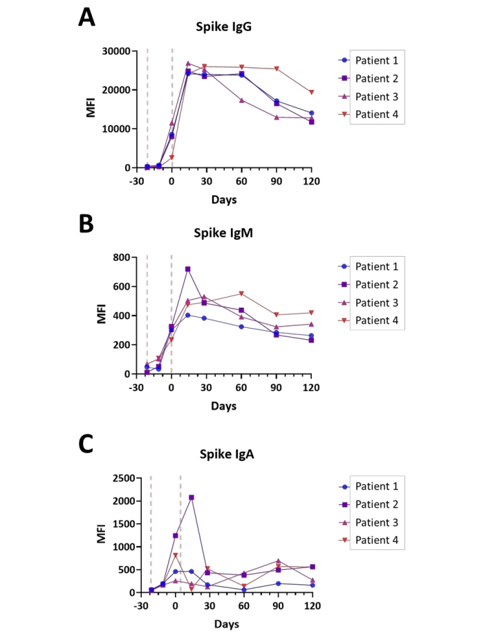 figure-results-6 Immunoglobulin response chart; Spike IgG, IgM, IgA levels over time; patient data comparison.
