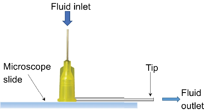 figure-protocol-2 Microscopy fluid flow diagram; needle setup, fluid inlet/outlet on microscope slide for analysis.