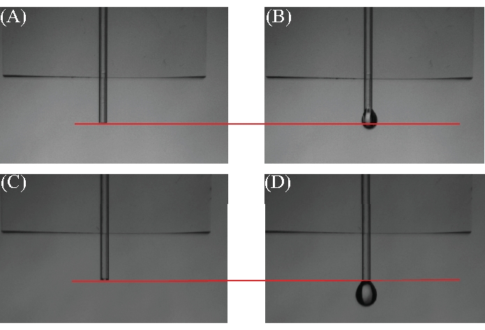figure-protocol-4 Contact angle measurement, liquid drop stages, static equilibrium, optical analysis, diagram.