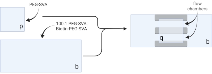 figure-protocol-2 figure-protocol-2