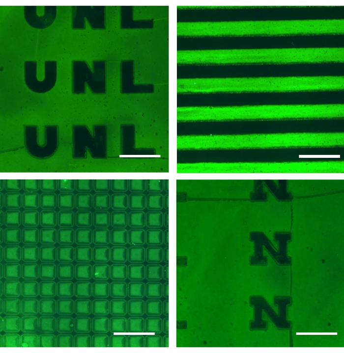 Microscope image of photonic patterns on surface; fluorescence microscopy; optical study.