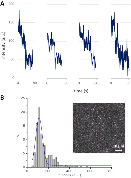 Chromatography intensity time graph and distribution histogram with microscopy inset for particle analysis.