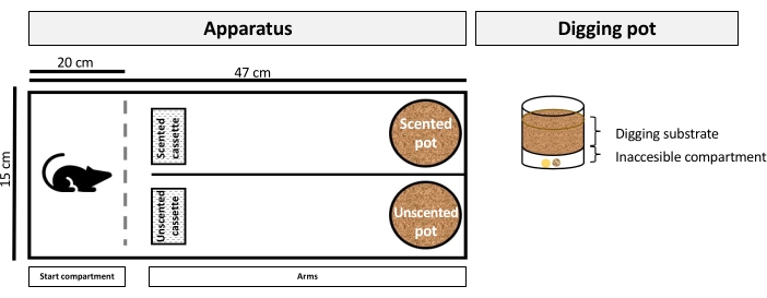 figure-protocol-1