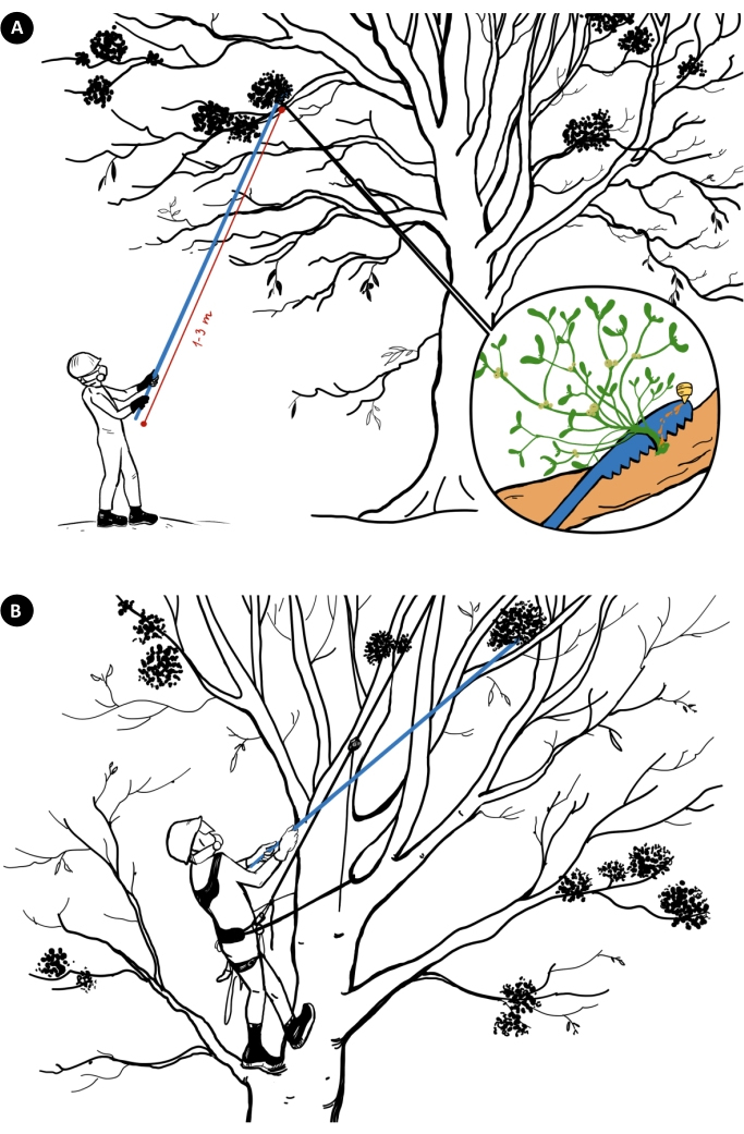 figure-protocol-2
