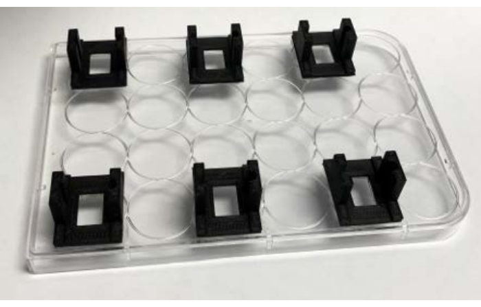 figure-protocol-4