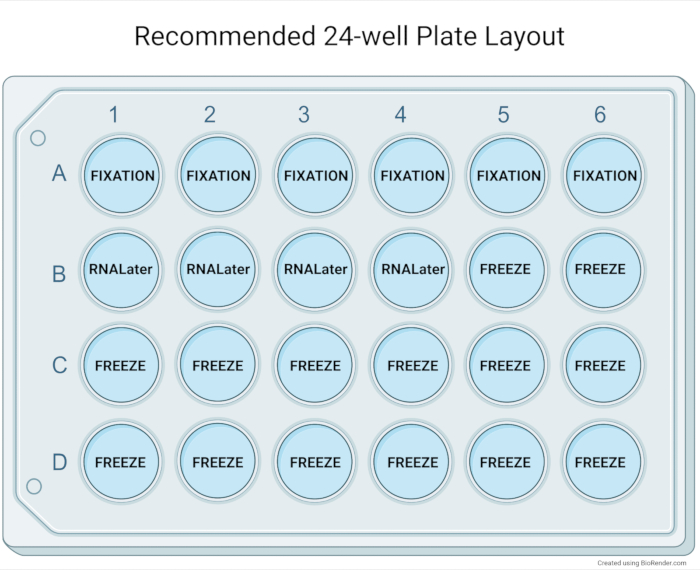 24-well plate layout diagram for sample fixation, RNALater preservation, and freezing methods.