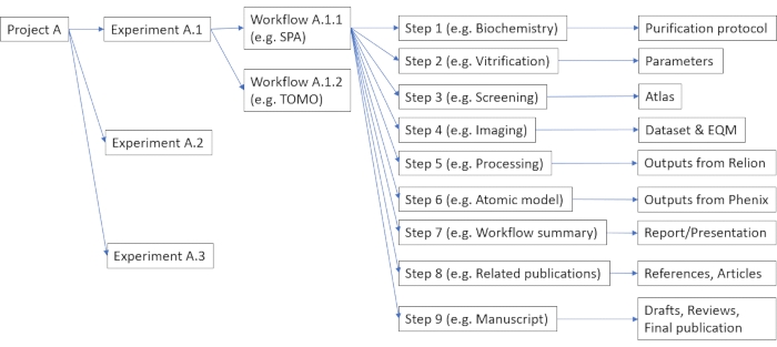 figure-results-1 Project workflow diagram; steps include biochemistry, vitrification, imaging, processing, publication.