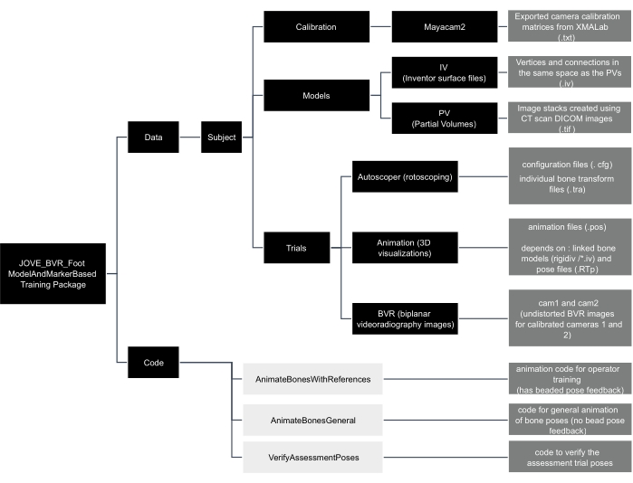figure-protocol-1 Flowchart of foot model and marker-based training package; data, trials, code structure detailed.