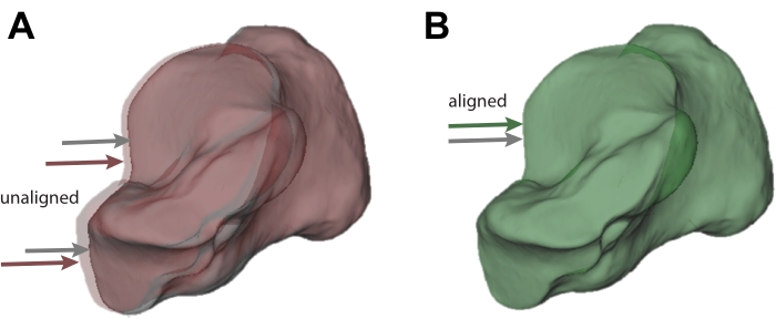 figure-protocol-2 3D structural alignment process, unaligned (A) vs. aligned model (B), visual comparison diagram.
