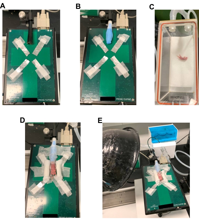 figure-results-1 Laboratory setup for static equilibrium experiment using taped cross apparatus on support board.