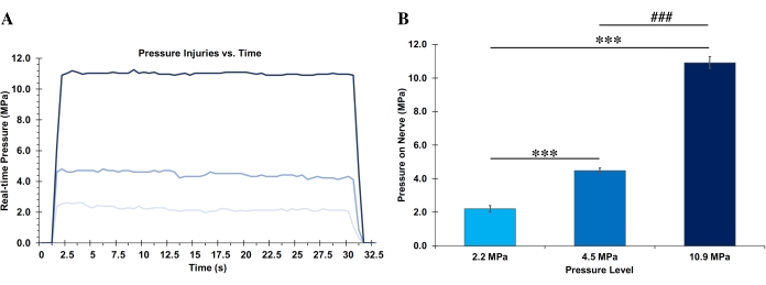 Pressure injuries vs. time graph and bar chart comparing nerve pressure at different levels (MPa).