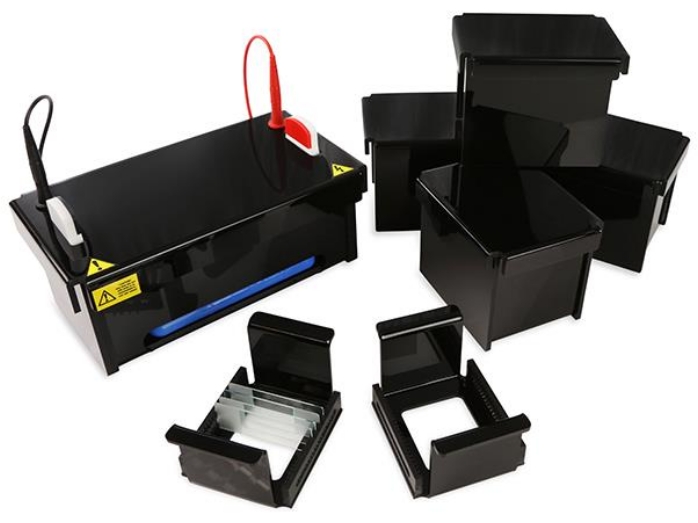 Electrophoresis system setup, gel trays, tank, power leads, used for DNA separation, laboratory equipment.