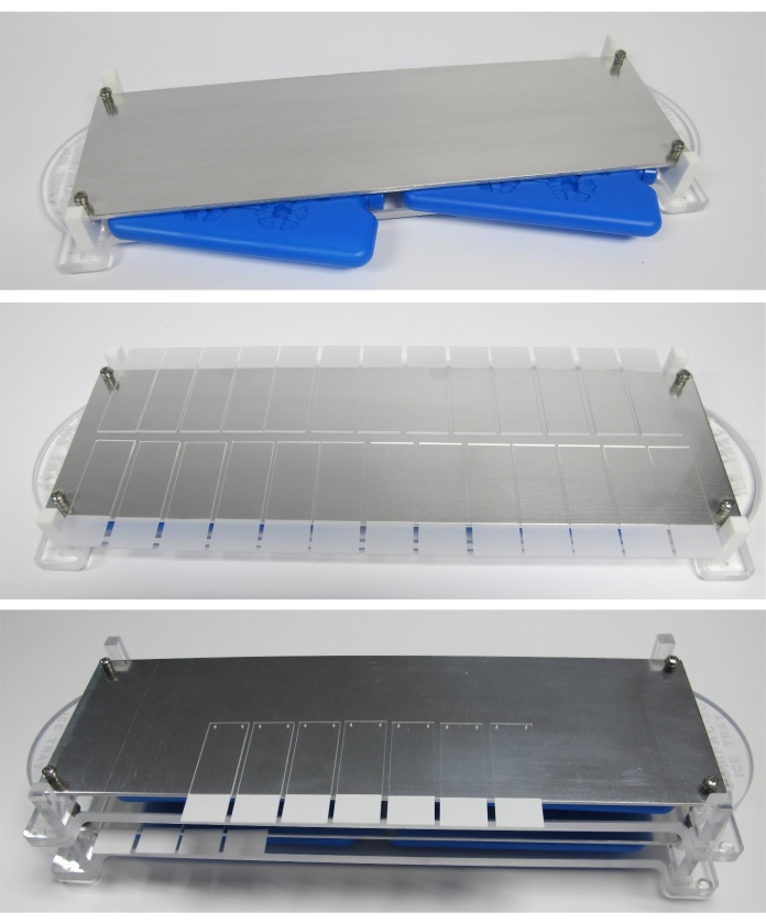 Polyacrylamide gel electrophoresis setup for DNA separation, showing gel plates and spacers.