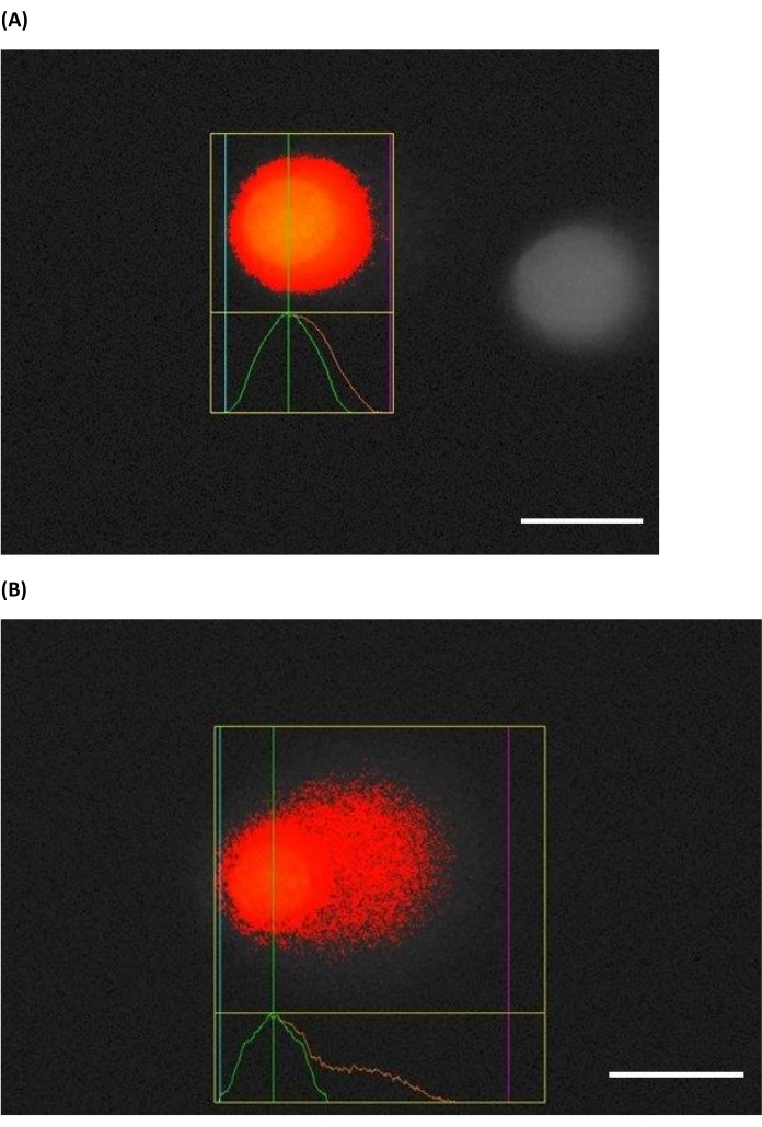 Optical excitation images, emission pattern analysis; diagrams show spectral fitting results.