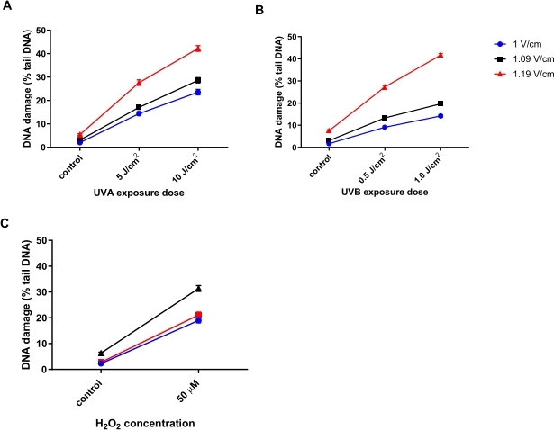 DNA damage analysis; graphs show UVA/UVB dose and H2O2 effects on DNA (% tail DNA).