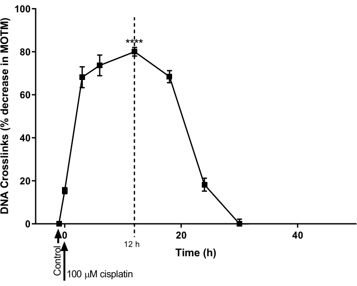 DNA crosslinks decrease chart, cisplatin effect over 40h, experiment result graph.