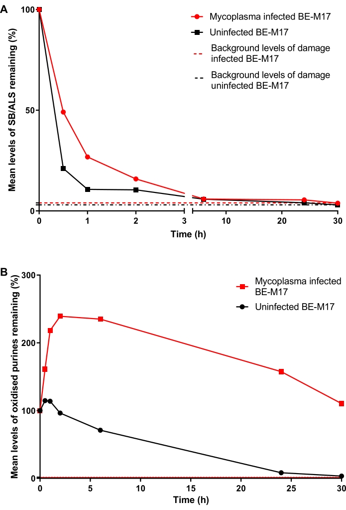 DNA damage repair kinetics graph in Mycoplasma-infected vs uninfected BE-M17; % remaining vs time.