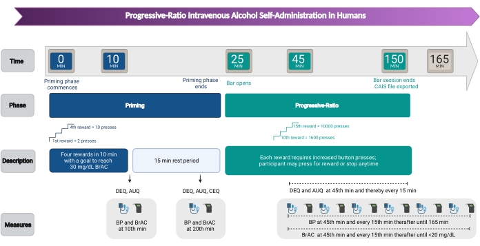 figure-results-2 Progressive-ratio alcohol self-administration timeline; diagram with phases, rewards, and measures.