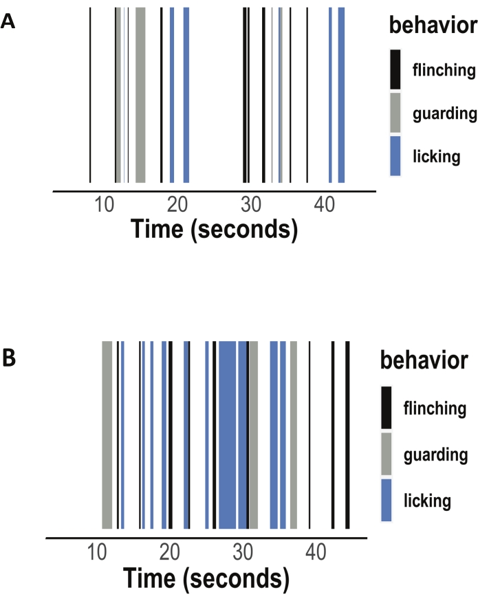 Behavioral event timeline; flinching, guarding, licking; time chart; 10-40 seconds; comparison.